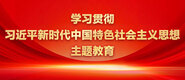看着白丝使劲操学习贯彻习近平新时代中国特色社会主义思想主题教育_fororder_ad-371X160(2)